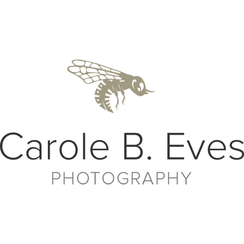 Carole B Eves